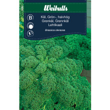 Grønkål 'Westlandse Herfst'